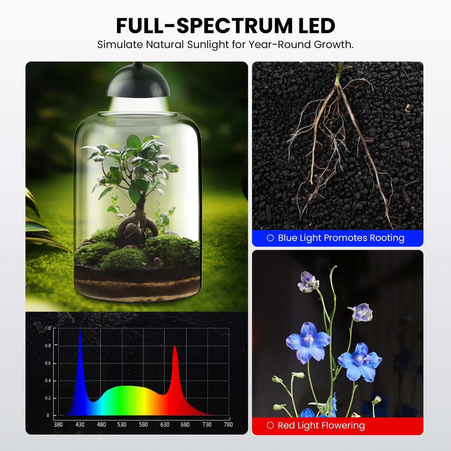 Xyingshine Glass Plant Terrarium with LED Grow Light & Adjustable Ventilation, 8.2" Desktop Terrarium for Venus Fly Trap, Moss & Succulents, Borosilicate Indoor Planter for Home Office Decor