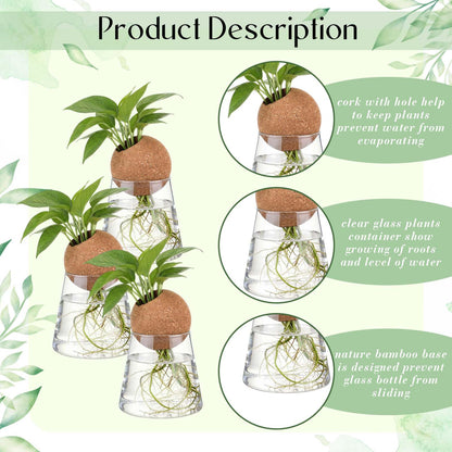 Baderke 3 Pcs 3.15 Inches Glass Plant Propagation Stations with Spherical Lid Glass Jars Plant Propagation Vases Hydroponic Spherical Cork Planter for Indoor Home Office Desktop Decor(Conical)