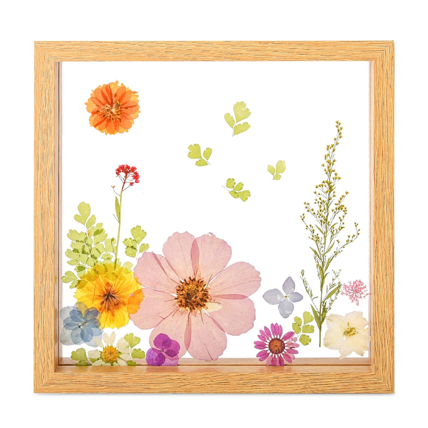 fanhuashijn Clear Pressed Flower Frame - Dried Flower Frame Adult Girls Night Crafts for Women Mother Gift (Pink, Medium)