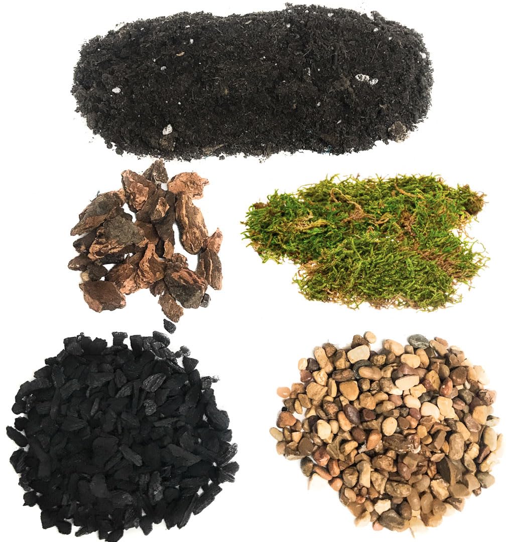 DIY Terrarium and Succulent Planter Kit | Includes Organic Soil Mix, Hoffman Charcoal, Orchid Bark, Decorative Gravel and Sheet Moss (Small DIY Soil Kit)