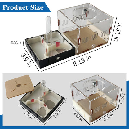 Ant Farm Nest Science DIY Terrarium Kit Care for Live Ants Ant Habitat with Water Tower Nurturing Room and Comprehensive Observation-Set 1