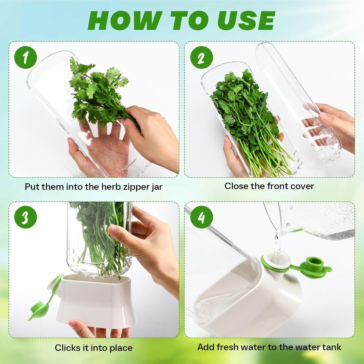 2 2-3 Baderke Pieces Herb Saver for Refrigerator Herb Keeper Herb Storage Containers Herb Saver Pod for Cilantro