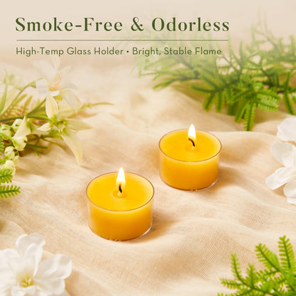 Ashlux 96 Pack Beeswax Tea Lights, 6-Hour Long Burning Tealight Candles in Clear Cup, Tea Candles Pefect for Air Purification Meditation Dinner Home Decor
