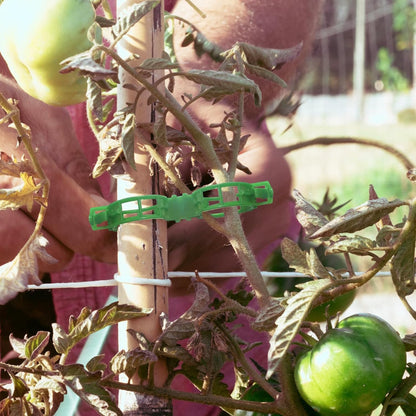 OJYUDD Plant Support Clips - 300 Pcs Plastic Tomato & Garden Vine Clips for Climbing Plants (Green)
