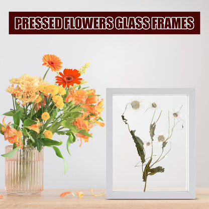 Fiwochic 4 Pack Pressed Flower Floating Picture Frames, 10, 8, 6, 5 Inch White Wooden Double Glass Pressed Flower Frames Wall Tabletop Display for Dried Flowers, Photos, Art, Birthday, Wedding Gift