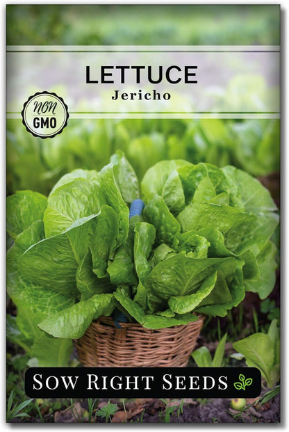 Packet (1) Sow Right Seeds - Jericho Lettuce Seeds for Planting - Non-GMO Heirloom with Instructions to Plant a Home