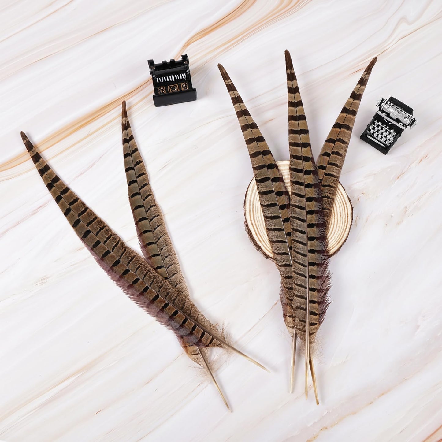 MAOFENG 12pcs Natural Feathers Male Ringneck Pheasant Tails Feathers 8-10inch 20-25cm for Crafts Wedding Party Performance Home DIY Decoration,Male Pheasant Feathers
