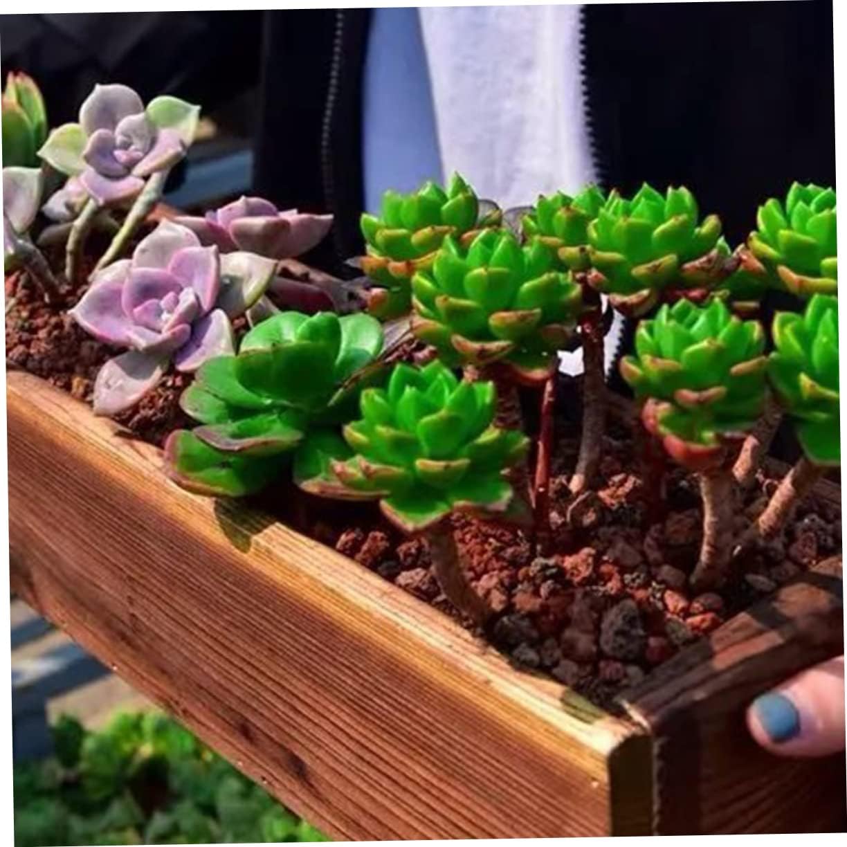 Wood Flower Box Cedar Window Boxes - Tiestos para Exterior Indoor Flower Pots for Outdoor Plants Fence Planter