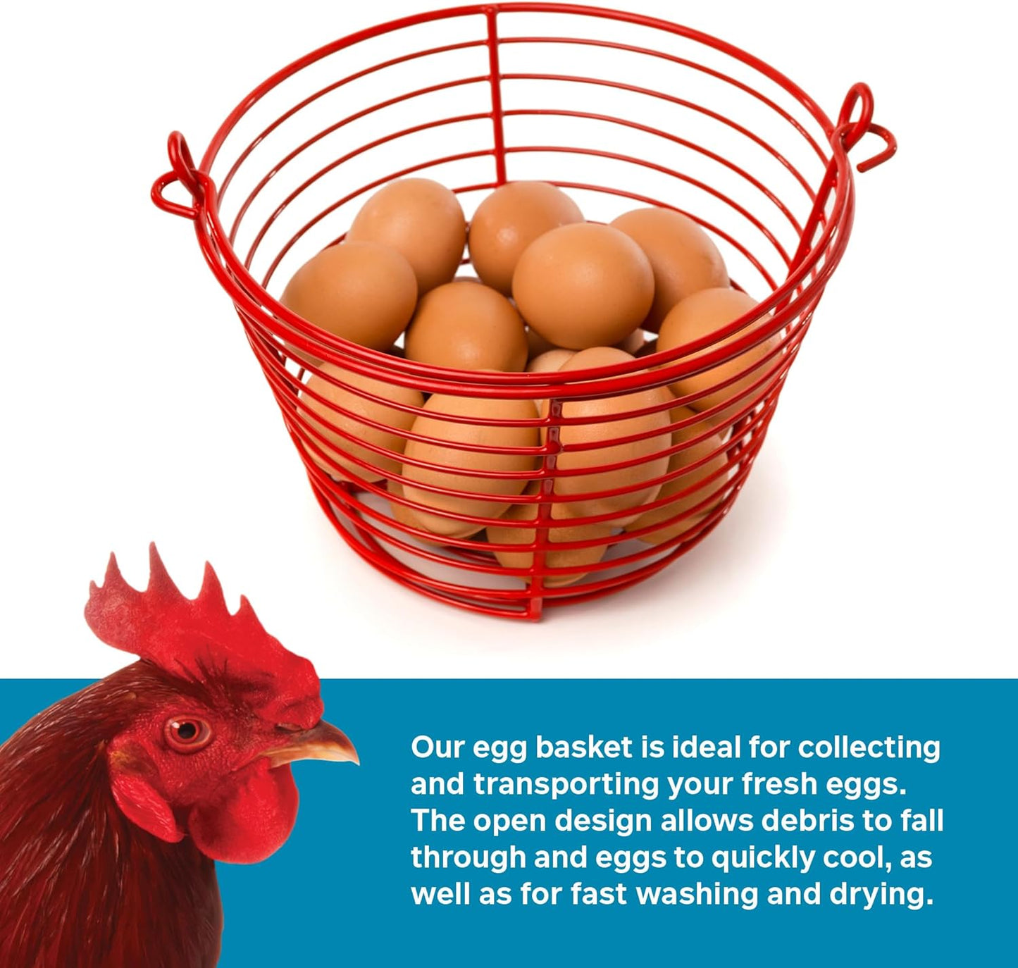 Prevue Pet Products 7.88 Inch 468 Red Egg Basket