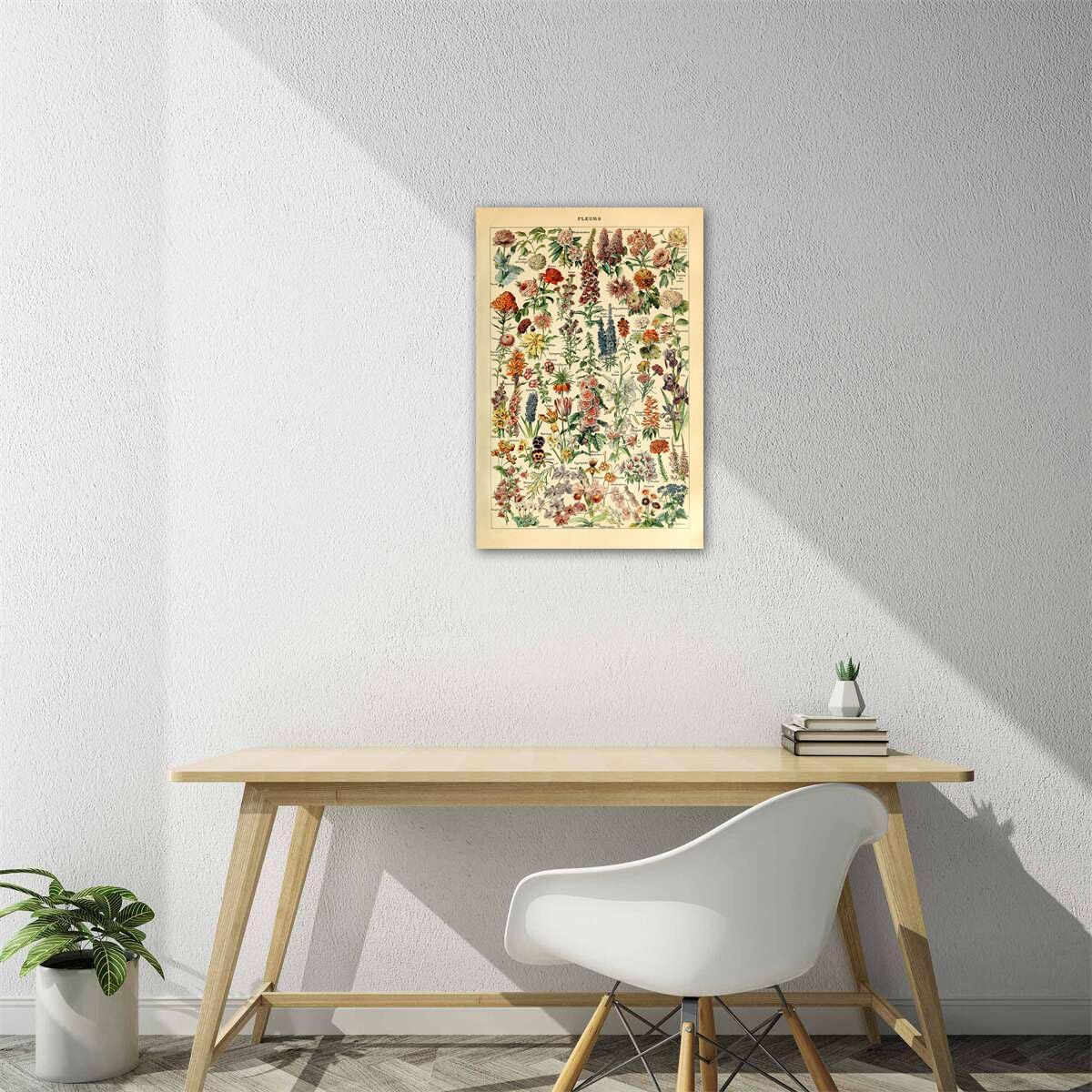 Meishe Art Vintage Poster Print - Flower Floral Botanical Collections Garden Flowers Identification Reference Chart