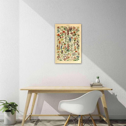 Meishe Art Vintage Poster Print - Flower Floral Botanical Collections Garden Flowers Identification Reference Chart