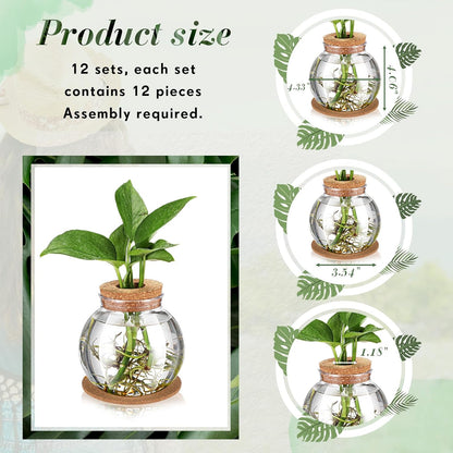12 Packs Baderke Propagation Vases for Plants Plastic Plant Propagation Station with Hole Lid and Cork Coasters Plant