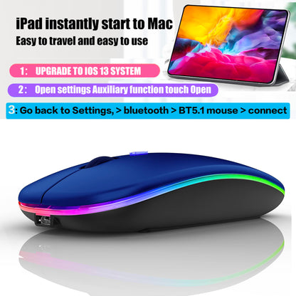 Bluetooth Wireless Mouse for Laptop mac MacBook ipad MacBook air MacBook pro pc Desktop Computer Windows Chromebook Notebook (Silver)