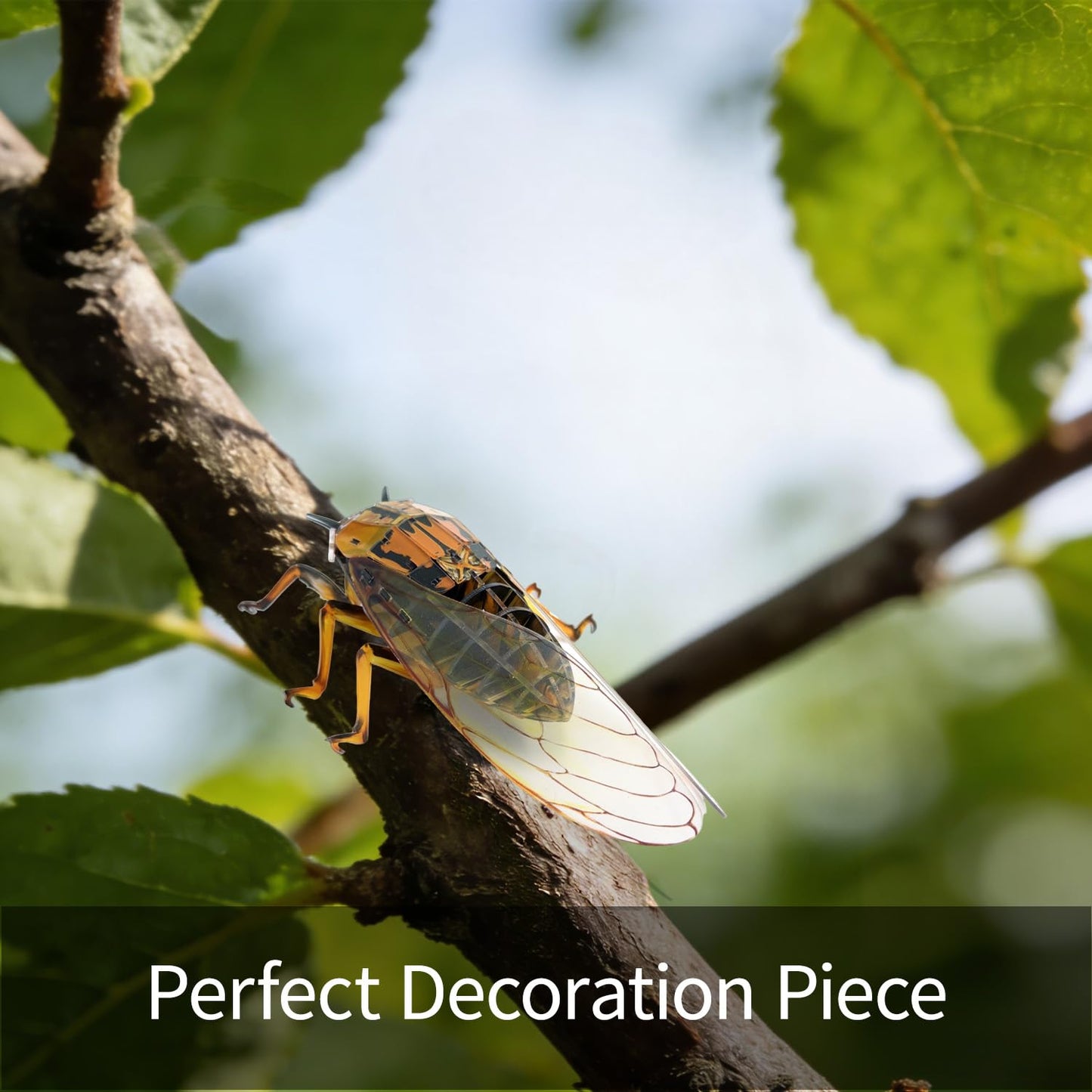 HELLOTOY 3D Acrylic Insects Puzzles DIY Bug Model Kit for Teenagers Educational Display Nature Decoration Figurine Sculpture (Cicada)