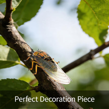 HELLOTOY 3D Acrylic Insects Puzzles DIY Bug Model Kit for Teenagers Educational Display Nature Decoration Figurine Sculpture (Cicada)