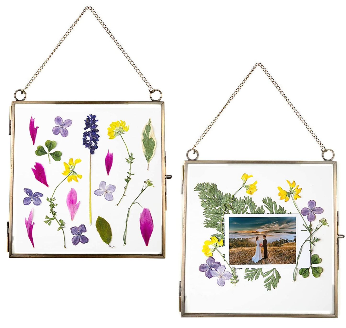 Beedecor Glass Frame for Pressed Flowers, Leaf and Artwork - Hanging Square Metal Picture Frames, Clear Double Glass Floating Frame, Wall Decor Photo Display, Set of 2 Flower Press Frames with Chain