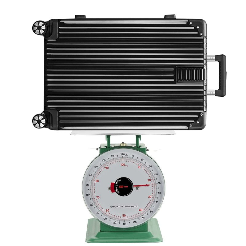 Tada 220lbs Heavy Duty Mechanical Kitchen and Food Scale Industrial Scale with Stainless Steel Platform Analog Produce Scale for Farmers Market and Horse Hay
