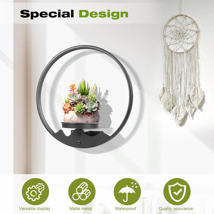 3 Pack Round Picture Frame Wall Plant Holder Black Wall Hanging Planters Metal Window Plants Shelf Plant for Indoor
