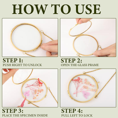 Qunclay 4 Pcs Pressed Flower Frames Bulk Double Glass Floating Hanging Photo Frame Sun Moon Clear Pressed Flower Decor with Chain for DIY Crafts Artwork Display Gallery(Gold,3.5 x 2.5 Inch)