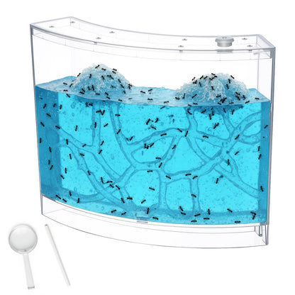 Acellegic Ant Farm Terrarium Kit Giant Ant Farm Large Viewing Area Care for Live Ants Nature Learning DIY Kit Great Gift(Classic Style,Blue)
