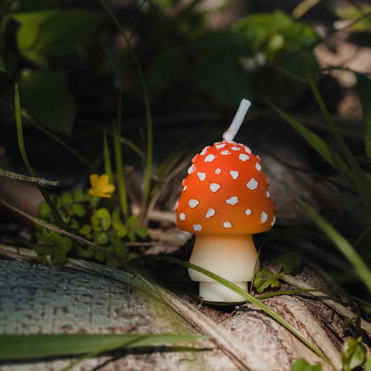 Birthday Mushroom Candles for Party Supplies and Wedding Favor
