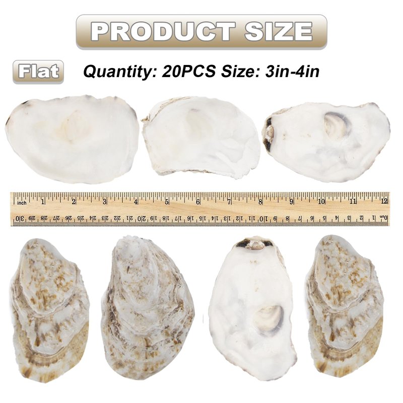 20 PCS Flat Oyster Shells for Crafts 3"-5" Natural Oyster Shells Bulk, for Home Vase Filler, Xmas Ornaments, DIY Arts and Crafts Sea Shells