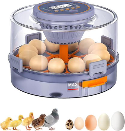 Somferic 12 Cozy Incubators for Hatching Eggs, Chicken Incubator with Automatic Egg Turning and Humidity Control, Baby
