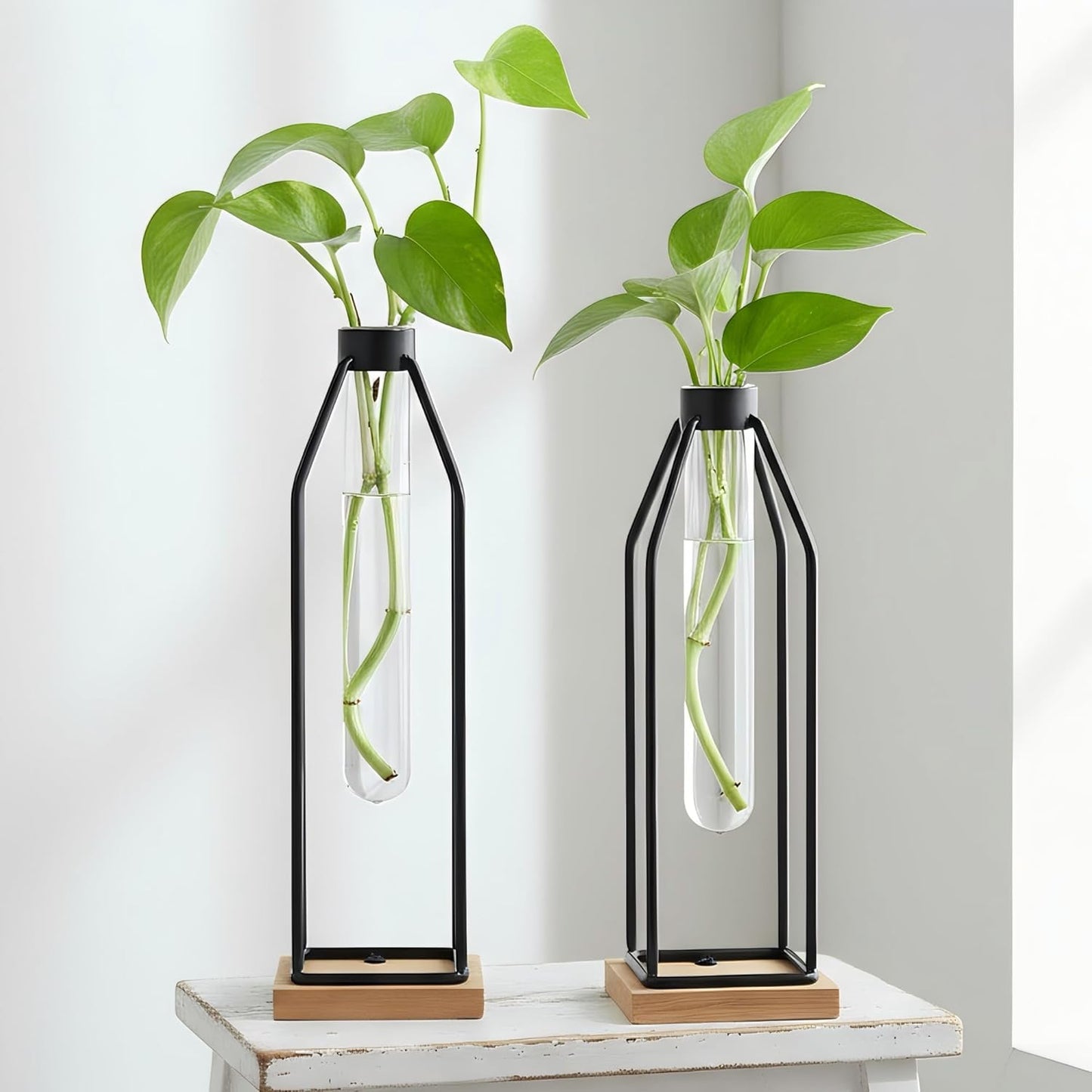 Set 2, 11&12.5 Inch Houmury Test Tube Vase of Flower Vases with Iron Stand & Wood Base, for Home Dcor, Table Decor