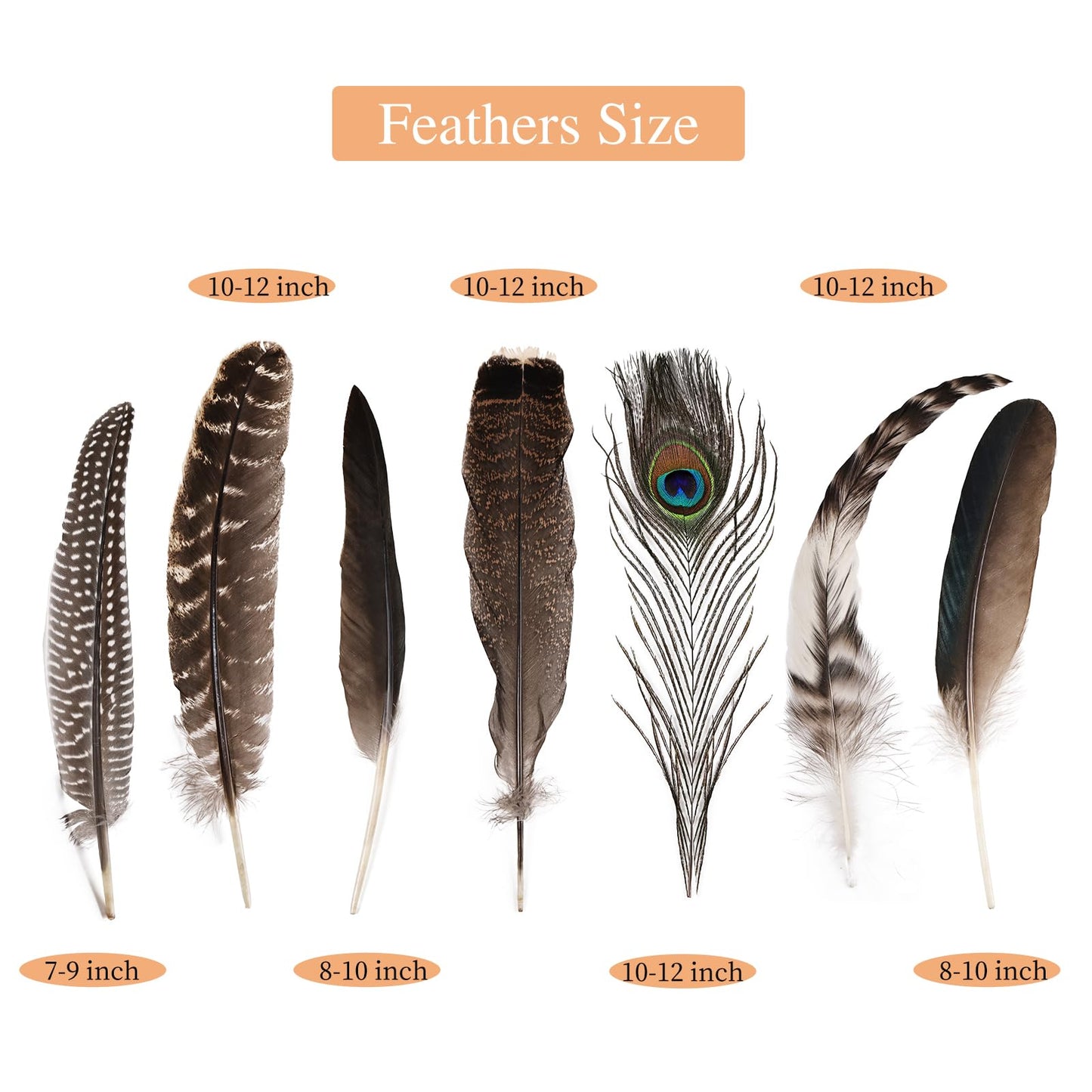 iHUFeather 42pcs Natural Pheasant Feathers Bulk Spotted Feathers 7 Styles Mixed Feathers for Crafts DIY Hat Floral Arrangements Wedding Home Decorations