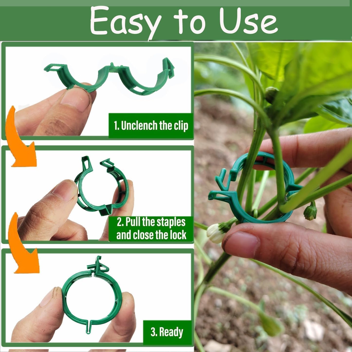 Plant Support Clips - 100pcs Tomato & Grape Vine Clips for Garden Trellis | Durable Green Plastic