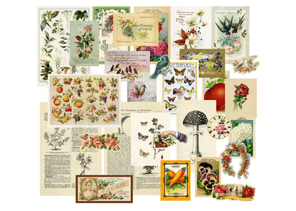 QCTC Junk Journal Vintage Botanical Ephemera, Handcrafted Coffee-Dyed Paper for Scrapbooking, Rustic Nature-Themed DIY Craft Supplies