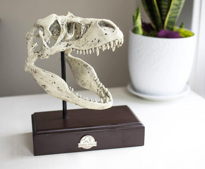 Jurassic World Tyrannosaurus Rex Skull Resin Replica - 9x8-Inch TRex Dinosaur Head Statue - Realistic Model Skeleton Decoration - Home & Office Decor, Shelf Display - Decorative Dino Fossil Sculpture