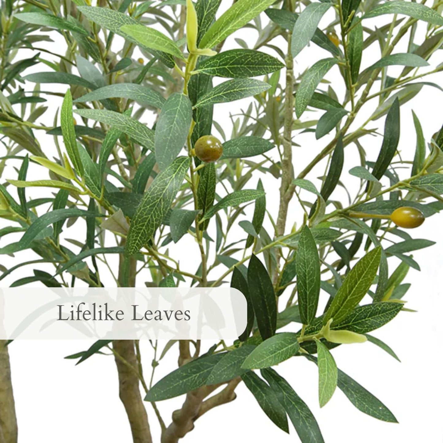 CG Hunter Designer Faux Olive Tree, Premium Handmade Artificial Indoor Tree Stands 8-ft Tall, Lifelike-Leaves & Hand Painted Trunk, Black Grower Pot Included