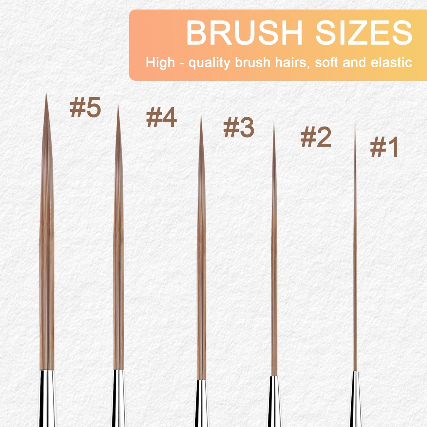 Long Liner Brushes - 5pcs Ox Ear Hair Detail Paint Brushes Extra Long Fine Point Tip Pinstriping Scroll Outlining Brush for Watercolor Acrylic Oil