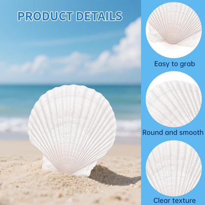 20PCS Large Scallop Shells for Crafts, 4-5 Inch Natural Sea Shells for Decorating, White Seashells Bulk for DIY Crafting, Painting, Baking, Ocean Themed Party Supplies & Decorations