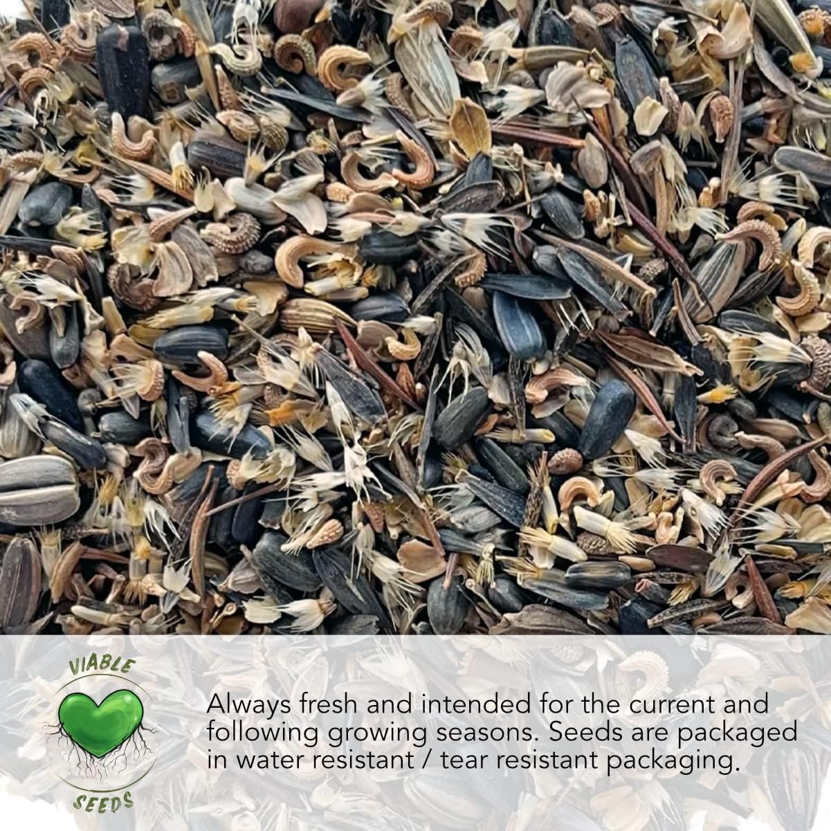 Pack 5 Packets 4 Seed Needs Butterhead Lettuce Seeds Variety for Planting a Collection of Individual Varieties