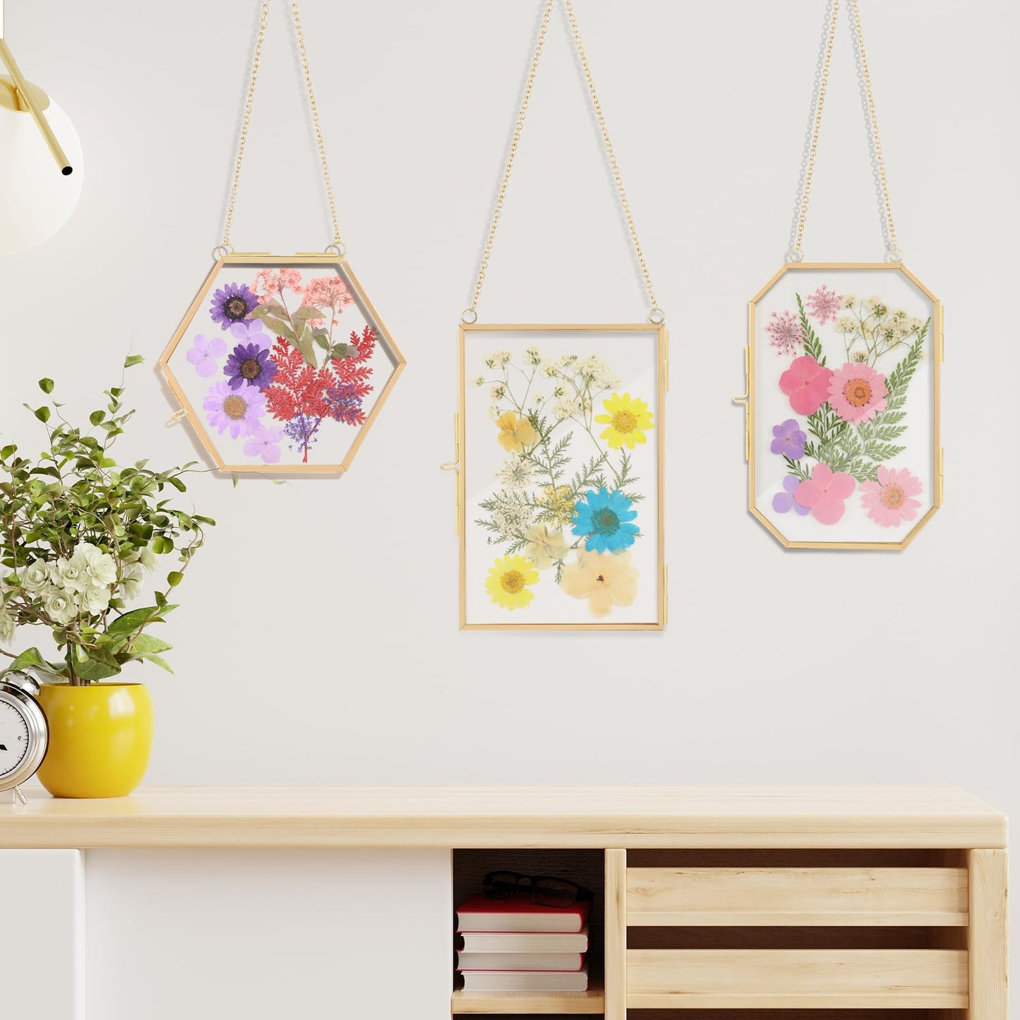 Lujechii 3 Pcs Double Glass for Pressed Flowers,Clear Brass Embossed Frame with Dried Flowers and Tweezers,Can Be Used for Dried Flower Plant Photo Postcards Wall Mounted Glass Pressed Flower Frame