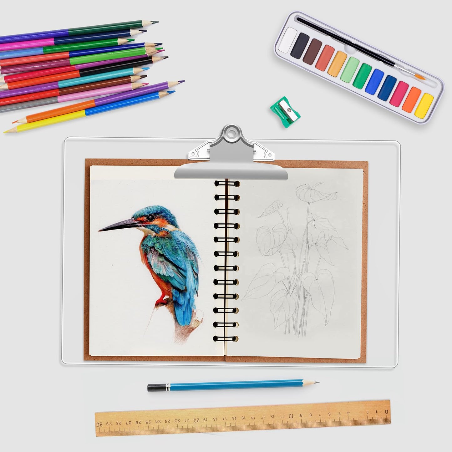 Macroclo Extra Large 11x17 Clipboards, Clear Plastic Drawing Boards with Heavy Duty Butterfly Clip, Landscape Layout. Suitable for Watercolor, Sketching, Painting. Art & Drafting Supply
