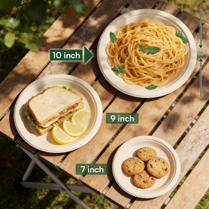 Regine Switzerland 10-Inch Compostable Paper Plates - Eco-Friendly Sugarcane Bagasse | 100 Pack, Microwave Safe