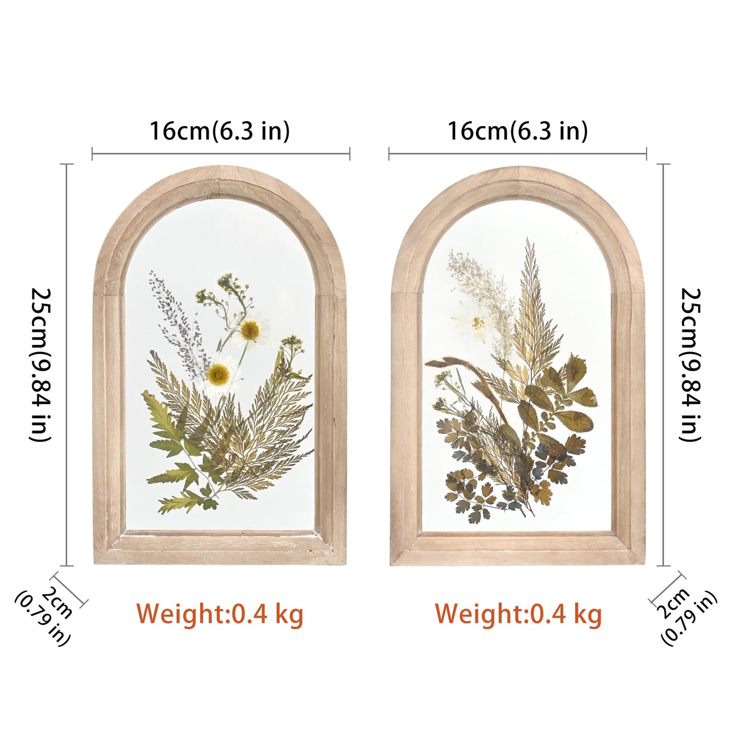Z&Z ornamentorum Glass Pressed Flower Wood Frame, Set of 2, Flower Botanical Wall Art with Plant for Bedroom Restroom Kitchen Decoration Wall Art