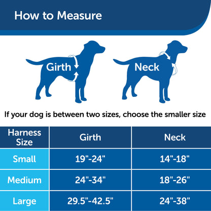 PetSafe 3 in 1 Harness with Two Point Control Leash, No-Pull Harness, Medium, Black, Adjustable
