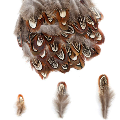 MWOOT 300PCS Spotted Chicken Feathers Natural Pheasant Plumage Feathers for DIY Crafts, Clothing, Jewelry, Wedding, Birthday Party, Dream Catcher Decoration