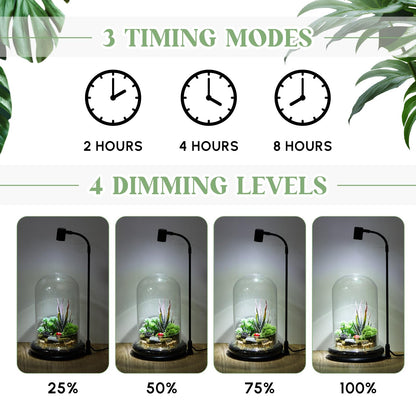 Maxdot Plant Terrarium Kit with Grow Light, 4.8'' x 7.87'' Glass Dome Terrarium with Air Hole and Base, Succulent Air Planter Fern Moss Micro Landscape Vase for Home Office Tabletop Decoration
