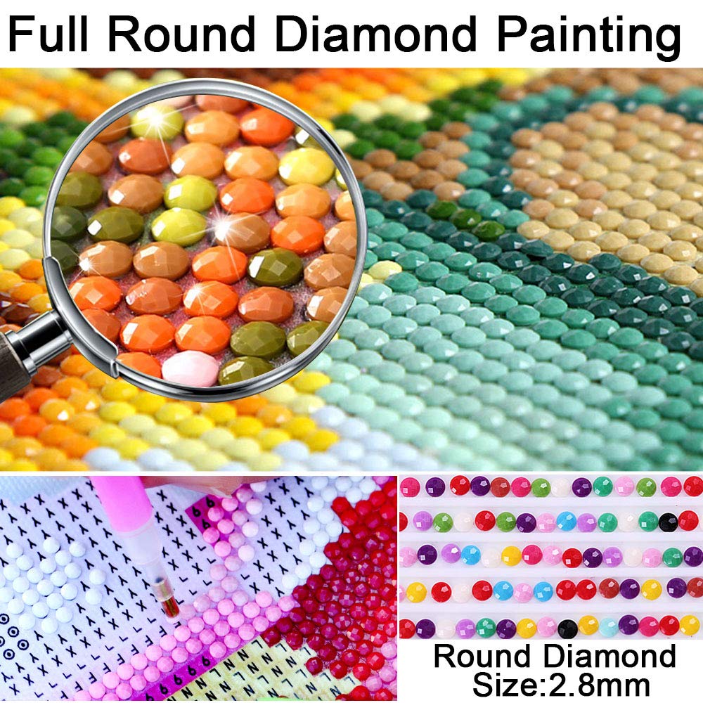 DIY 5D Diamond Painting Number Set 12X16 Inch, Full Round Drill Diamond Artist Wall Decoration Adult Art kit Living Room Bedroom Decoration paintingMa-009