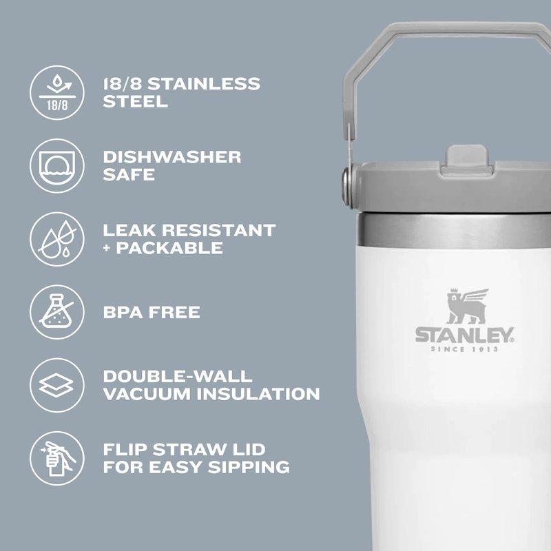 Stanley IceFlow Flip Straw Tumbler with Handle 20 oz | Twist On Lid and Flip Up Straw | Leak Resistant Water Bottle | Insulated Stainless Steel |BPA-Free | Iris