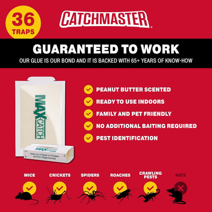 Catchmaster Max-Catch Mouse & Insect Glue Trap 36pk, Mouse Traps Indoor for Home, Sticky Pest Control Adhesive Tray for Catching Bugs, Non Toxic Bulk Pre-Baited Glue Boards