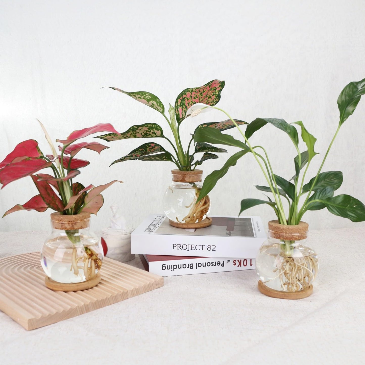 CHPINDAM Plant Propagation Station,Hydroponic Glass Container Vase Jars, with Wooden Saucer for Desks, Houses, Garden Decorations, Home Kitchen Decorations and Gifts for Plant Lovers (2)