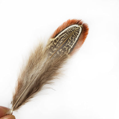 200 pcs Natural Pheasant Plumage Feathers 2-3 Inches Plumage Feathers for Sewing Crafts Clothing Decorating Accessories -Nature
