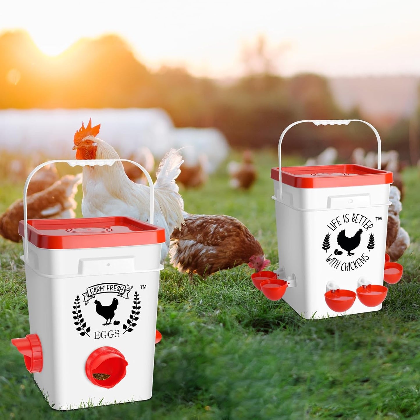 5 6 Tgeyd Chicken Waterer Gallon, with Enlarge Automatic Water Cups, Large Cicken Waterer for Chicken Duck and Goose