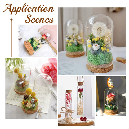 BENECREAT 20 Pack 40ml Glass Jars Bottles Decoration Bottles with Cork Stoppers for Party Wedding Favors, Small Projects and DIY Decorations, Gift Packaging